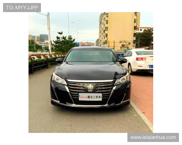 皇冠3237的魅力：为何越来越多投资者选择它作为首选项目