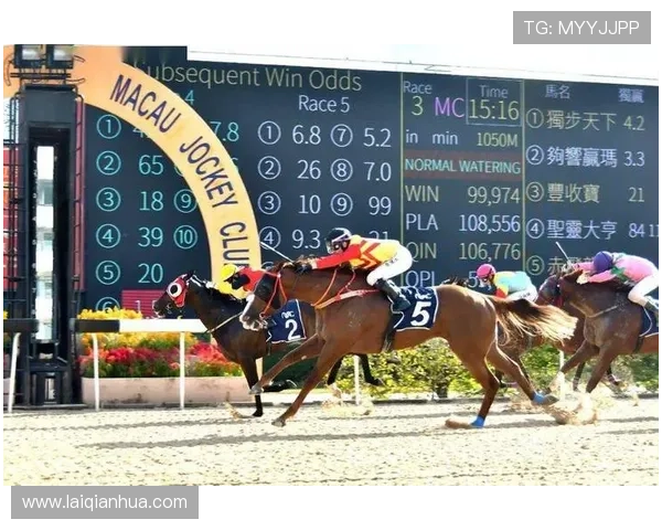 掌握澳门赛马咨询的关键技巧助您科学分析赛马走势实现盈利目标